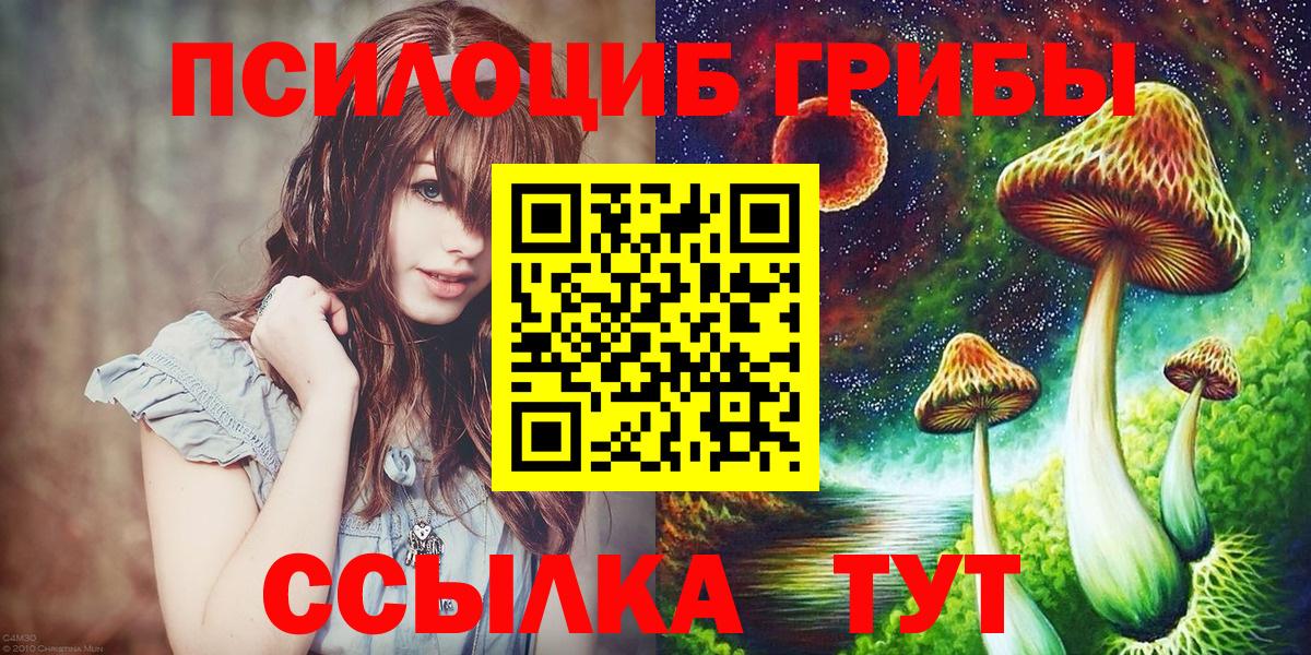 Галлюциногенные грибы Psilocybe  Вход с VPN  Киселёвск 